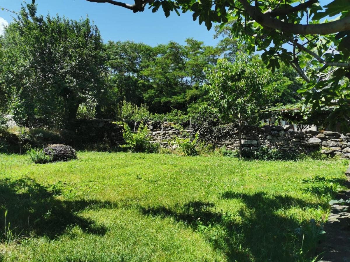 Da Zio Guido! Villa Bussoleno Dış mekan fotoğraf