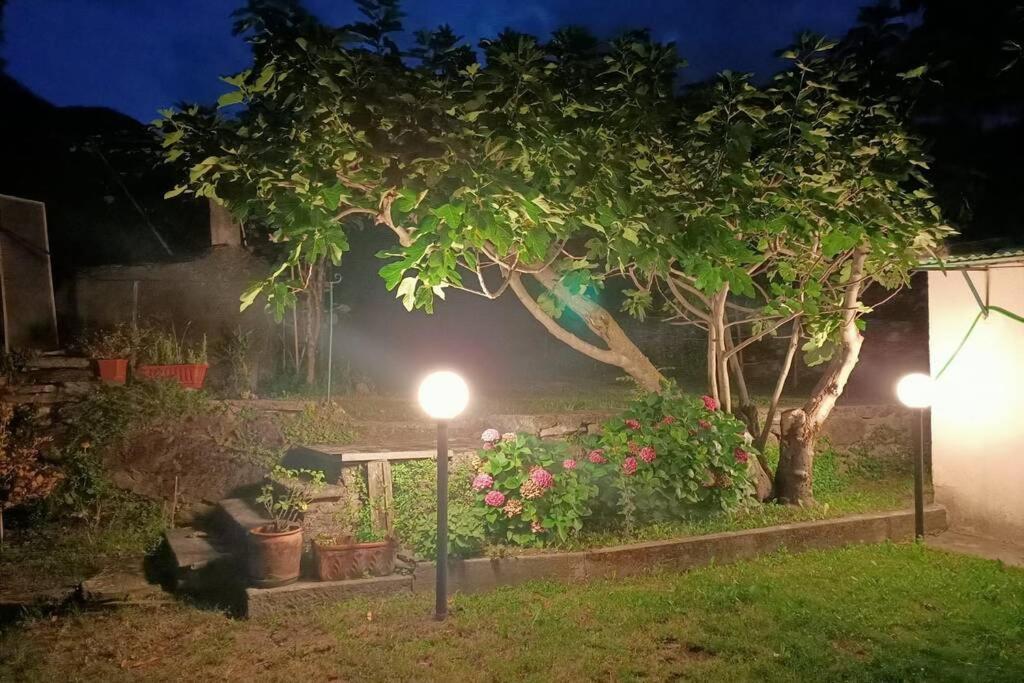 Da Zio Guido! Villa Bussoleno Dış mekan fotoğraf