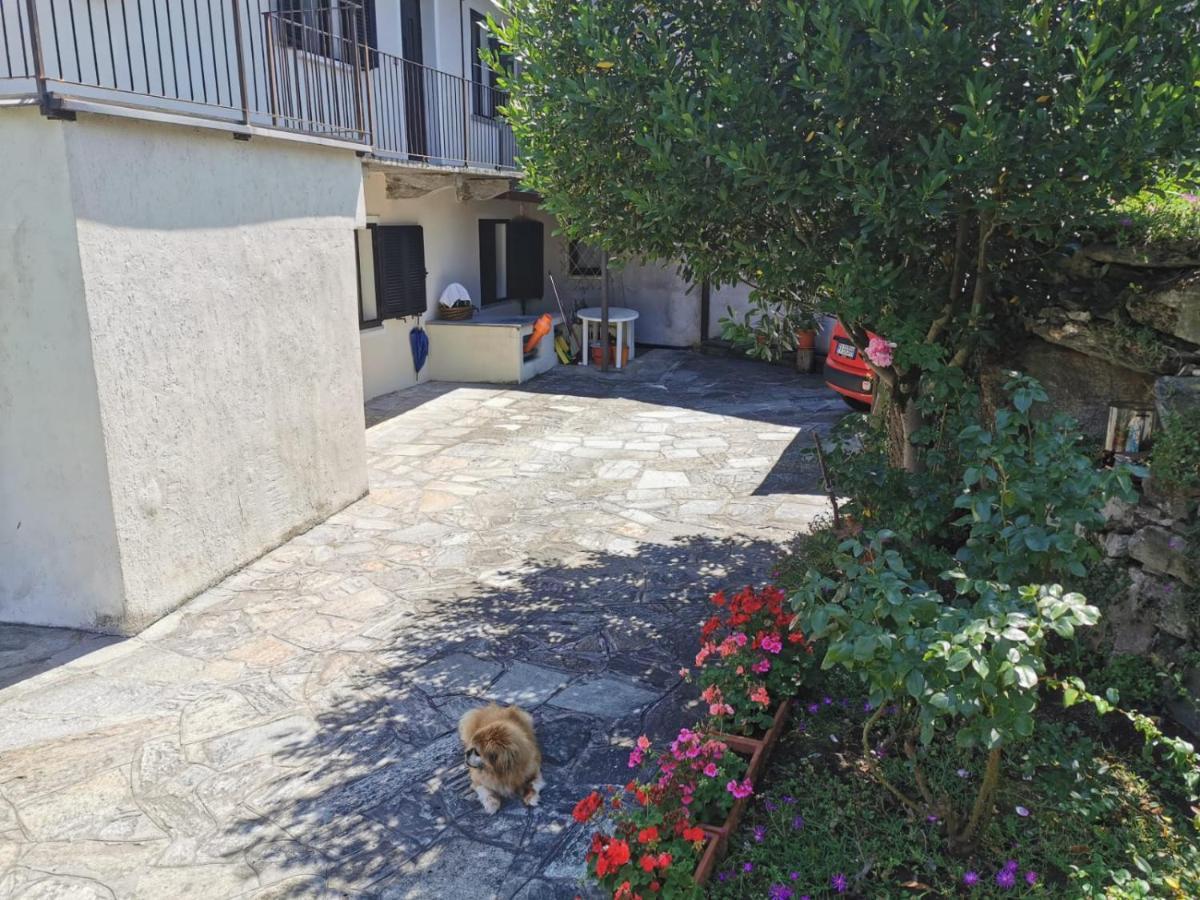 Da Zio Guido! Villa Bussoleno Dış mekan fotoğraf